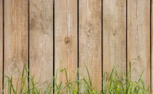 Image of fence