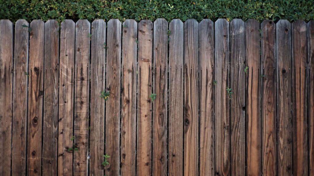 A wooden fence with vertical planks and small green plants growing through gaps, with dense green foliage visible at the top.