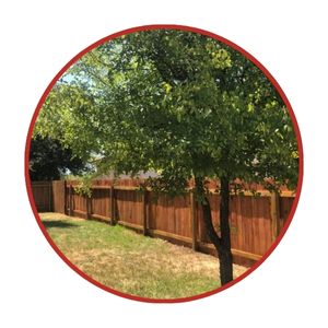 A wooden fence runs along a grassy yard with a leafy tree in the foreground, enclosed in a red circular border.