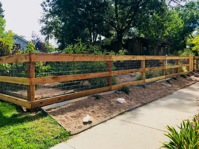 A wooden and wire fence encloses a garden area next to a sidewalk, with trees and a small shed in the background.